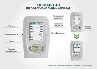 СКЭНАР-1-НТ (исполнение 01)  в Клинцах купить Скэнар официальный сайт - denasvertebra.ru 